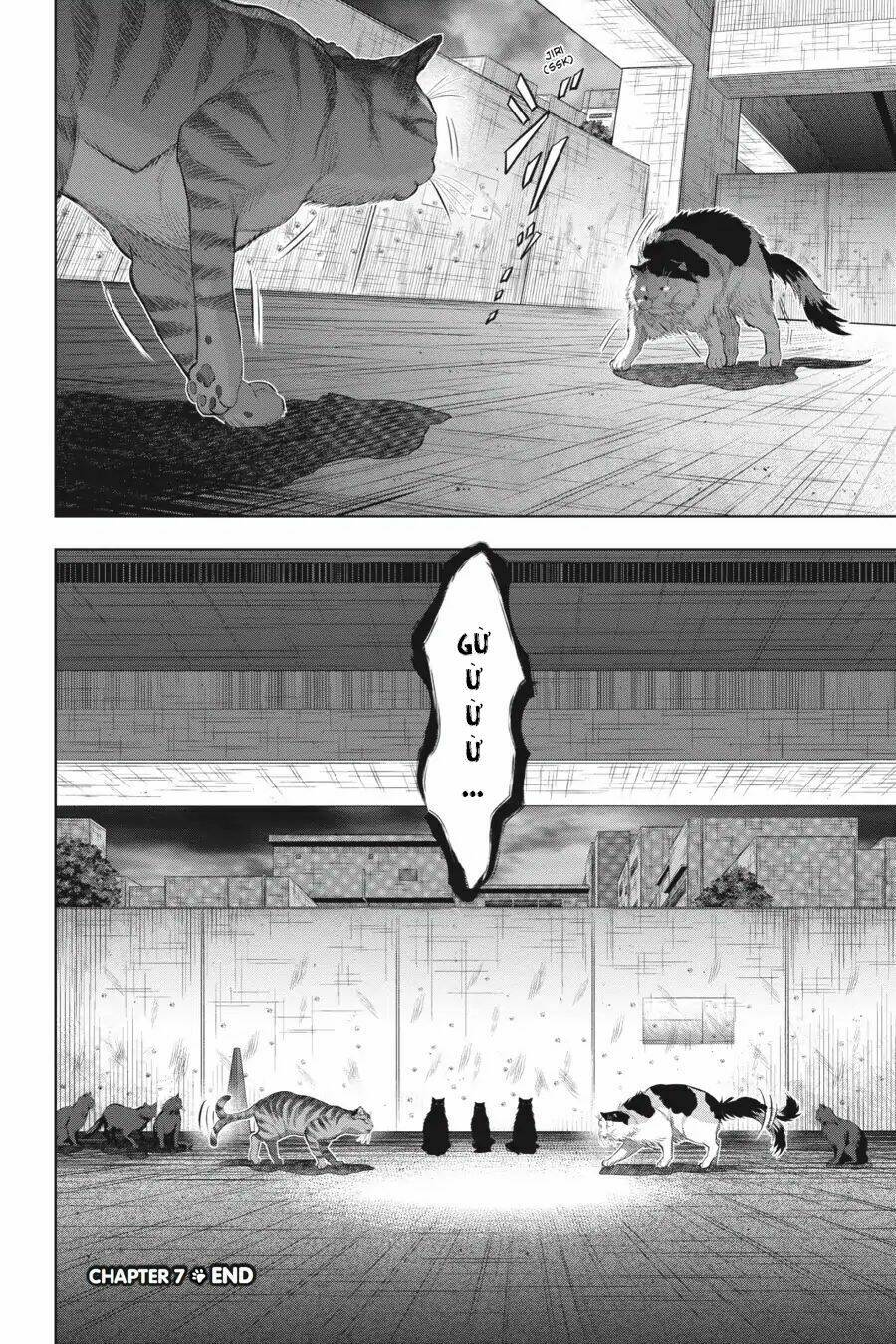 nyankees chapter 7 34