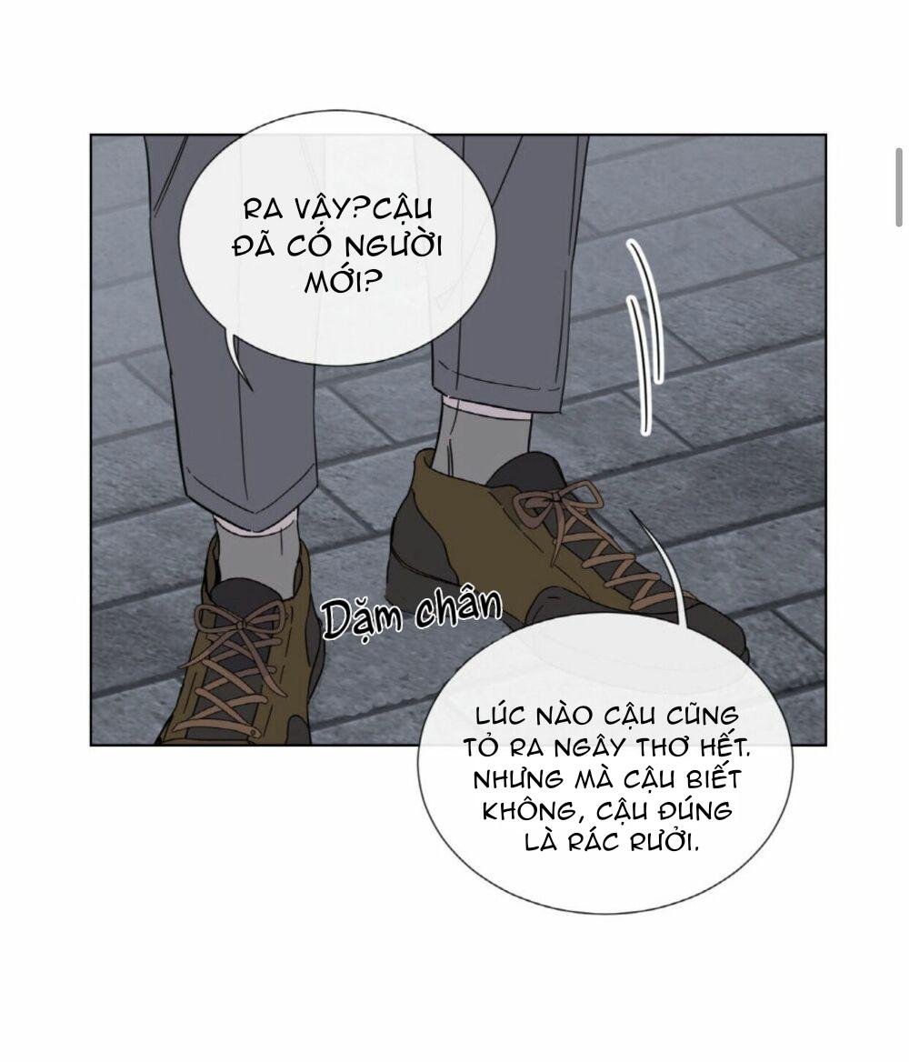 mr. miss chapter 11 6