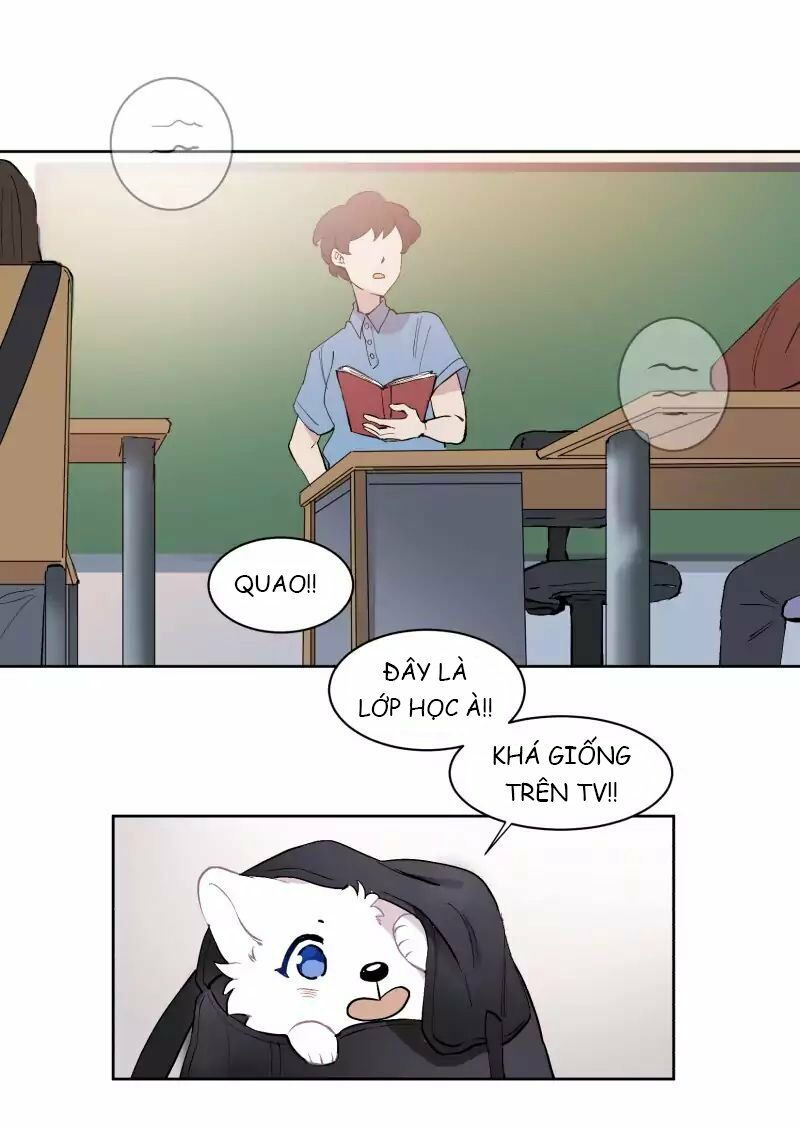 lumine - cội nguồn ánh sáng chapter 43 22