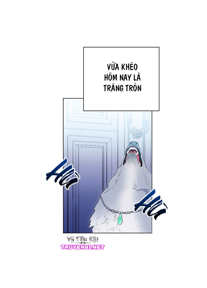 elizabeth chapter 7 61