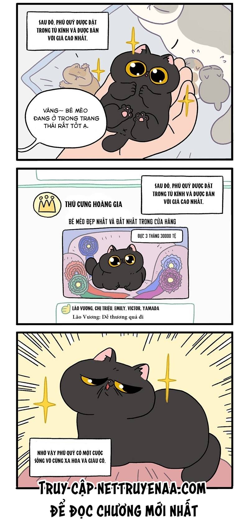 a mãn và mạch trà chapter 15 2