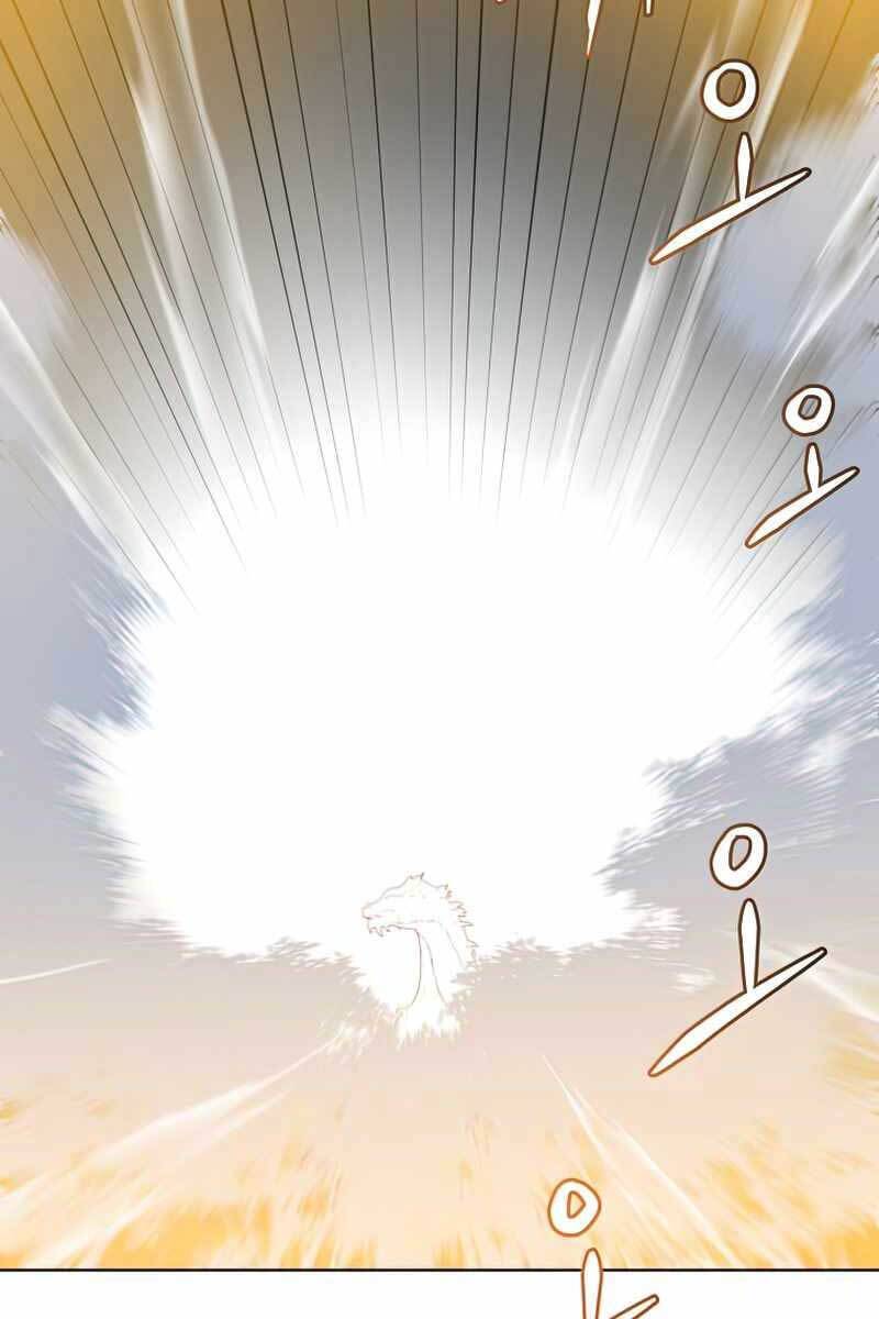 Anh Hùng Mạnh Nhất Trở Lại chapter 115 91