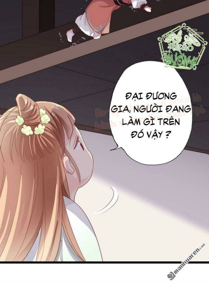 đứng yên ! phụng chỉ đánh cướp đây chapter 1 40