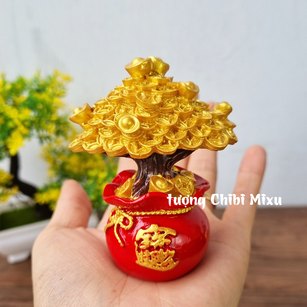 Chậu cây kim tiền size 8cm may mắn tài lộc