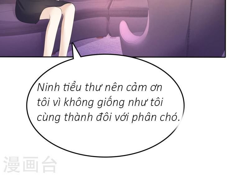 con đường phản công của sủng thê chapter 20 29