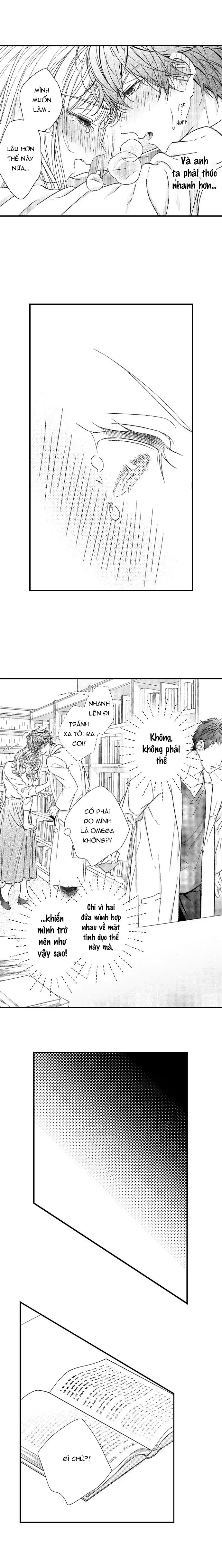 định mệnh thú vị: alpha và omega chapter 14.1 4