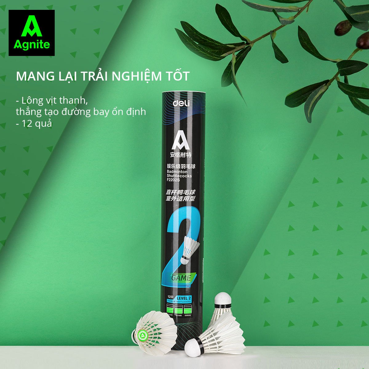 Hộp cầu lông Agnite 12 quả - Phù hợp thi đầu và luyện tập - Hàng chính hãng - F2202S