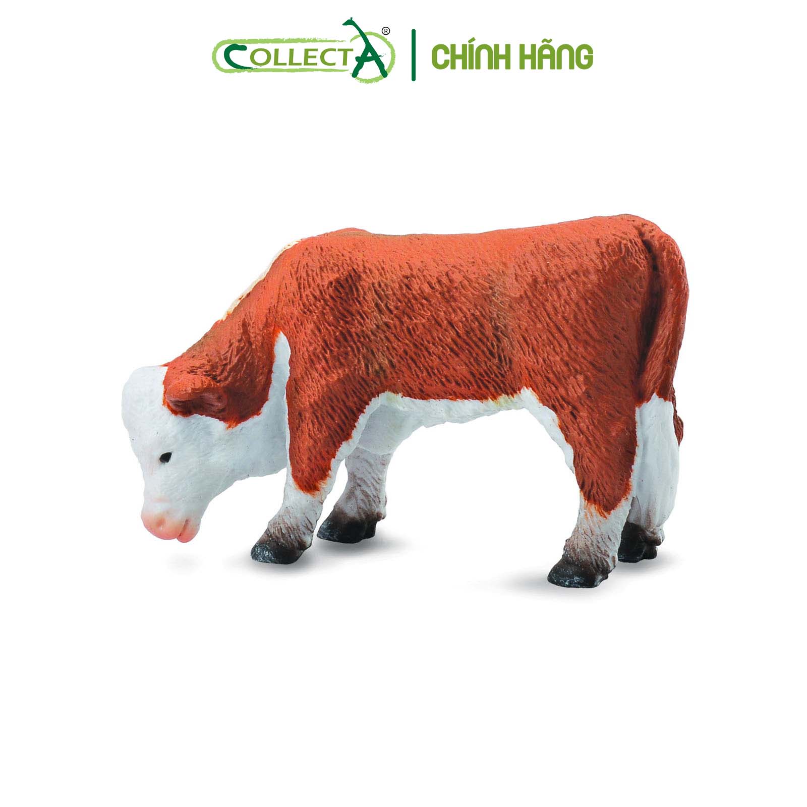 Mô hình thu nhỏ: Bò con Hereford - Gặm cỏ - Hereford Calf - Grazing, hiệu: CollectA, mã HS 9650191[88242] -  Chất liệu an toàn cho trẻ - Hàng chính hãng