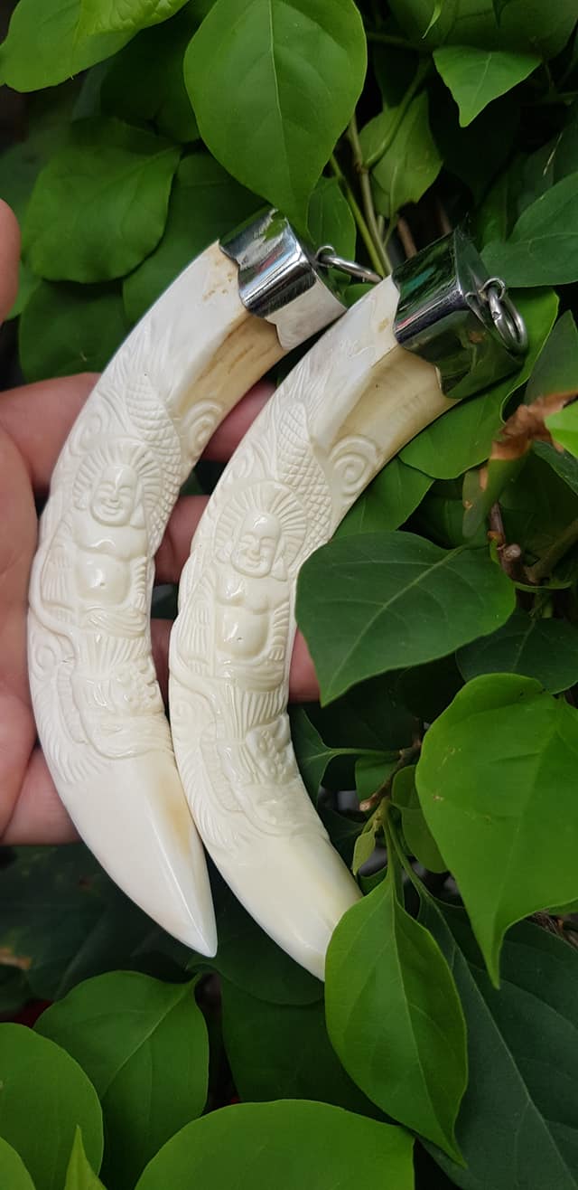 Mặt dây chuyền Nam Nanh Chạm Phật Di Lặc Giả Ngà hay gọi Xương mỹ nghệ màu trắng Mặt dây chạm hình Phật Di Lặc đã bọc khoen inox Nam đeo với sợi dây chuyền của mình đẹp ạ