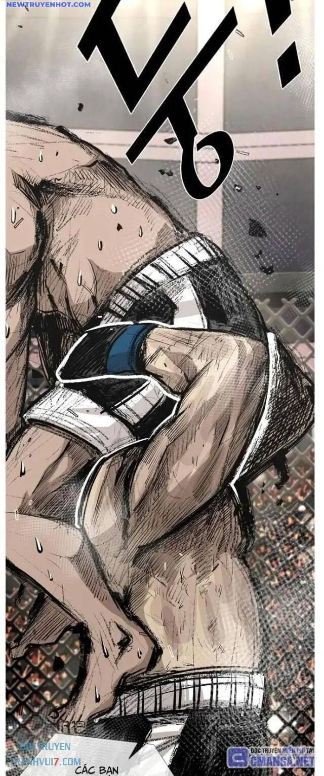 shark - cá mập chapter 155 27