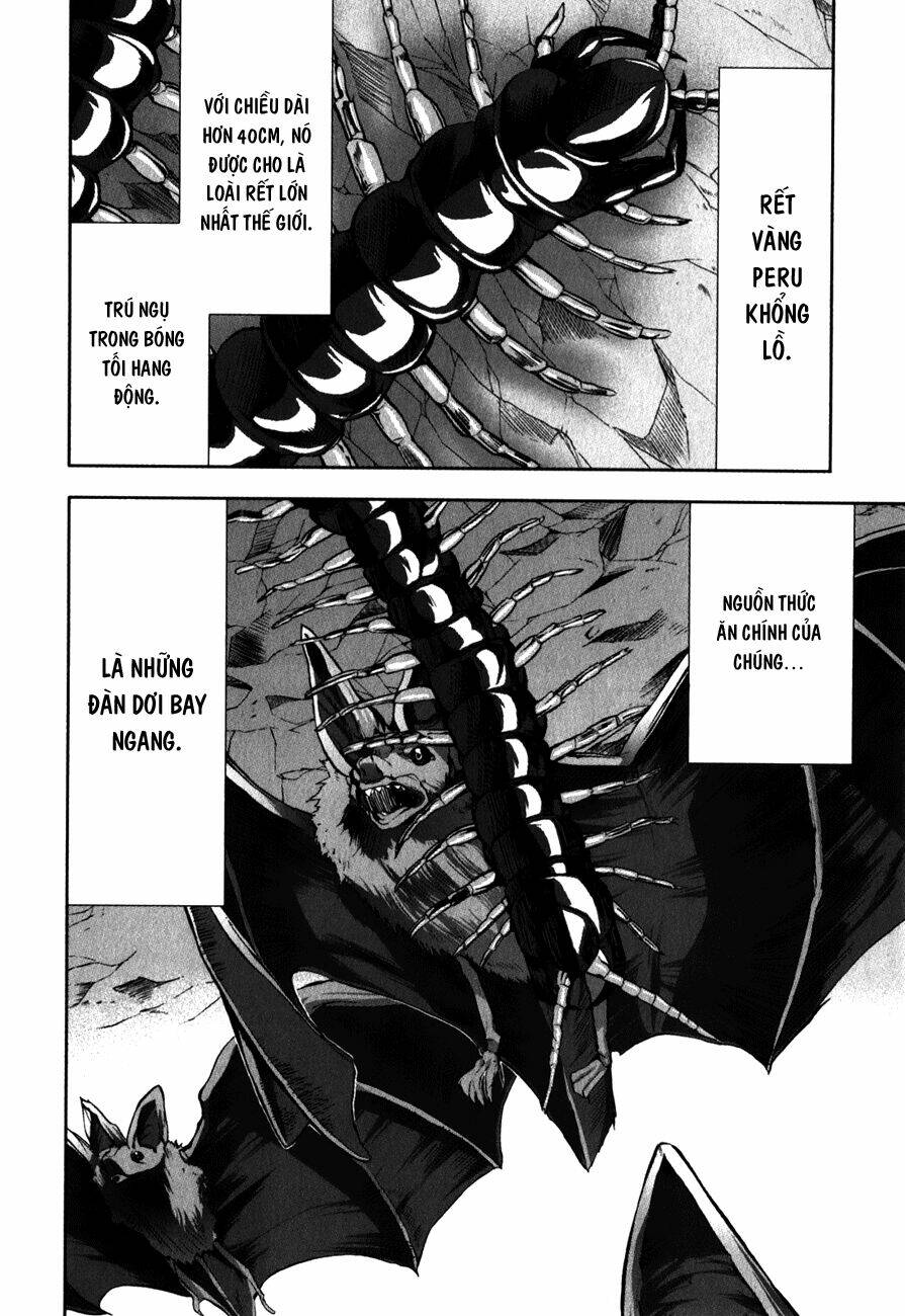 arachnid chapter 29 8