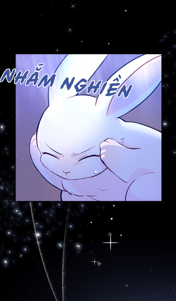 mối liên kết giữa báo đen và bé thỏ chapter 1 28