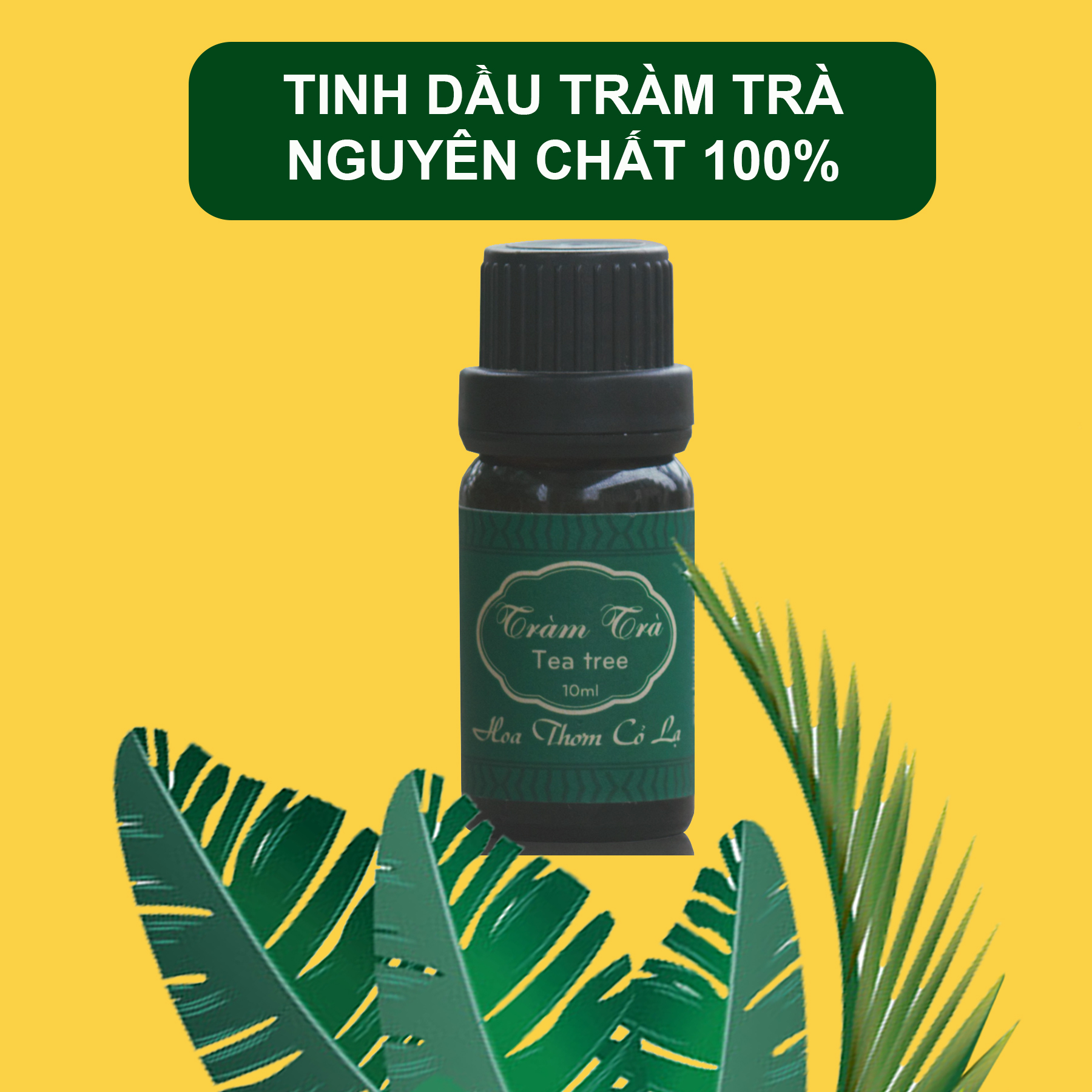 Tinh dầu Tràm Trà Nguyên chất 10ml Hoa Thơm Cỏ Lạ