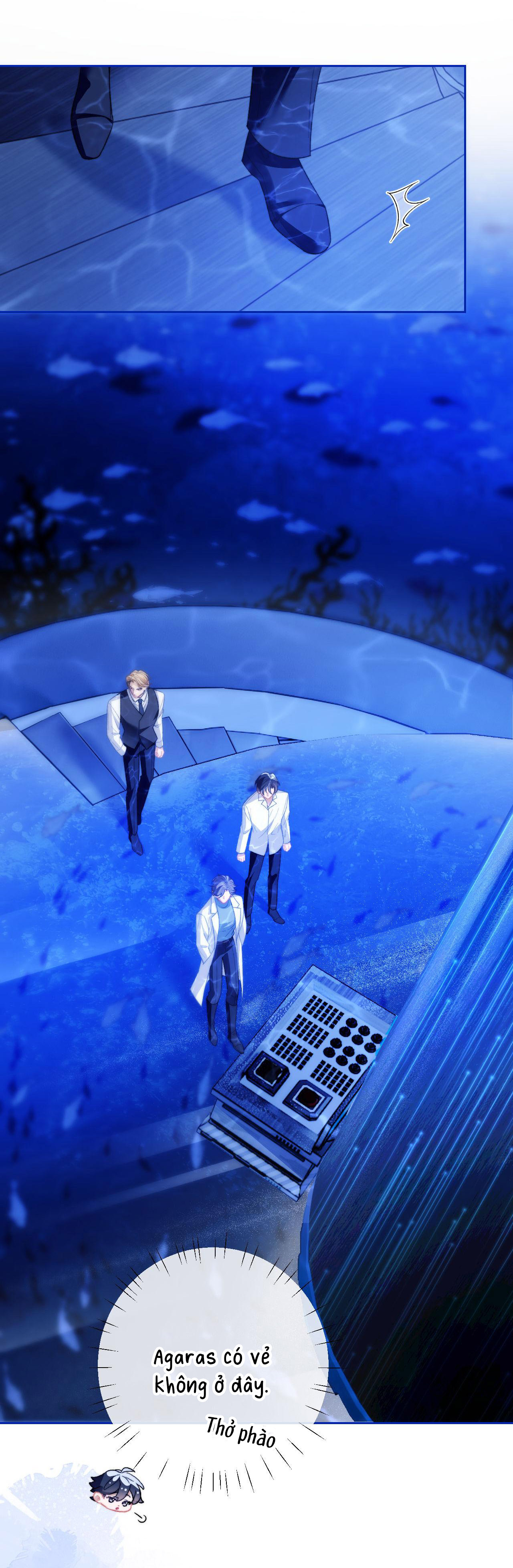 nhân ngư dessaro chapter 12 2