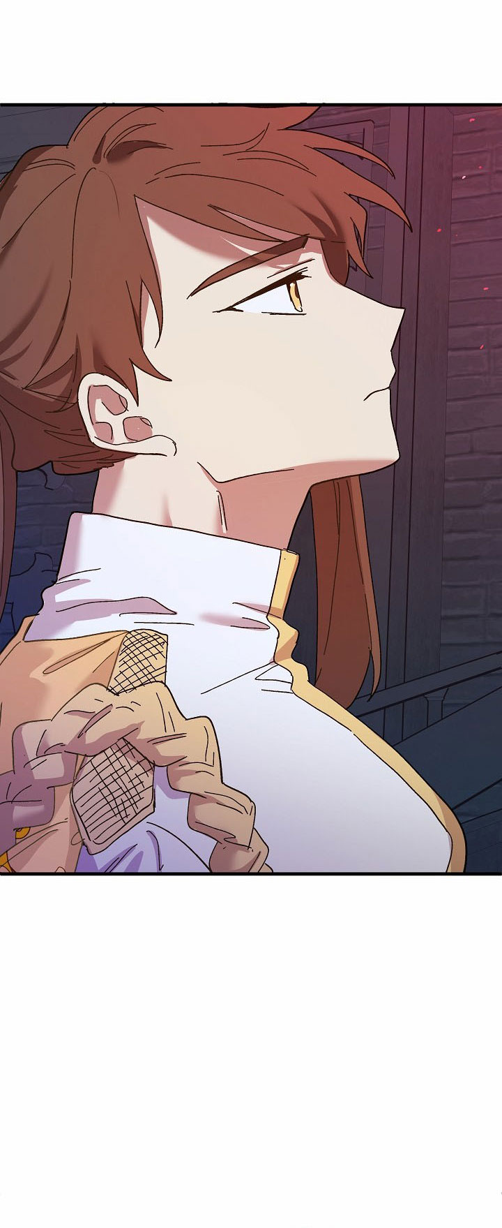 công chúa giả điên chapter 45.1 29