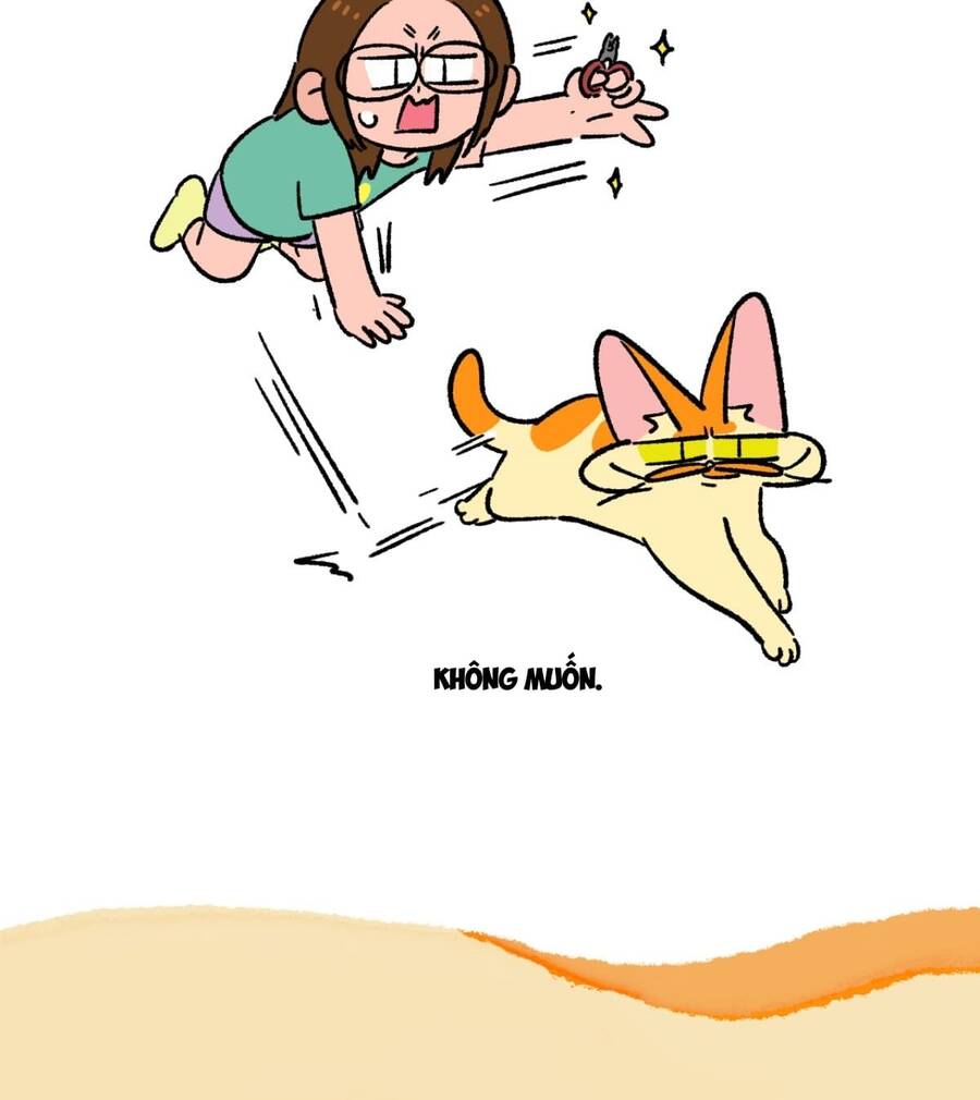 a mãn và mạch trà chapter 181 3