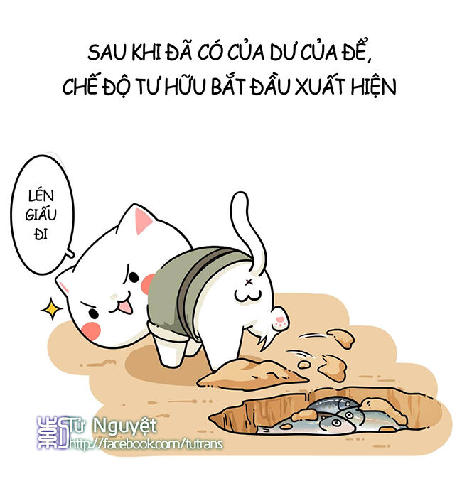 nếu lịch sử là một bầy mèo chapter 4 43