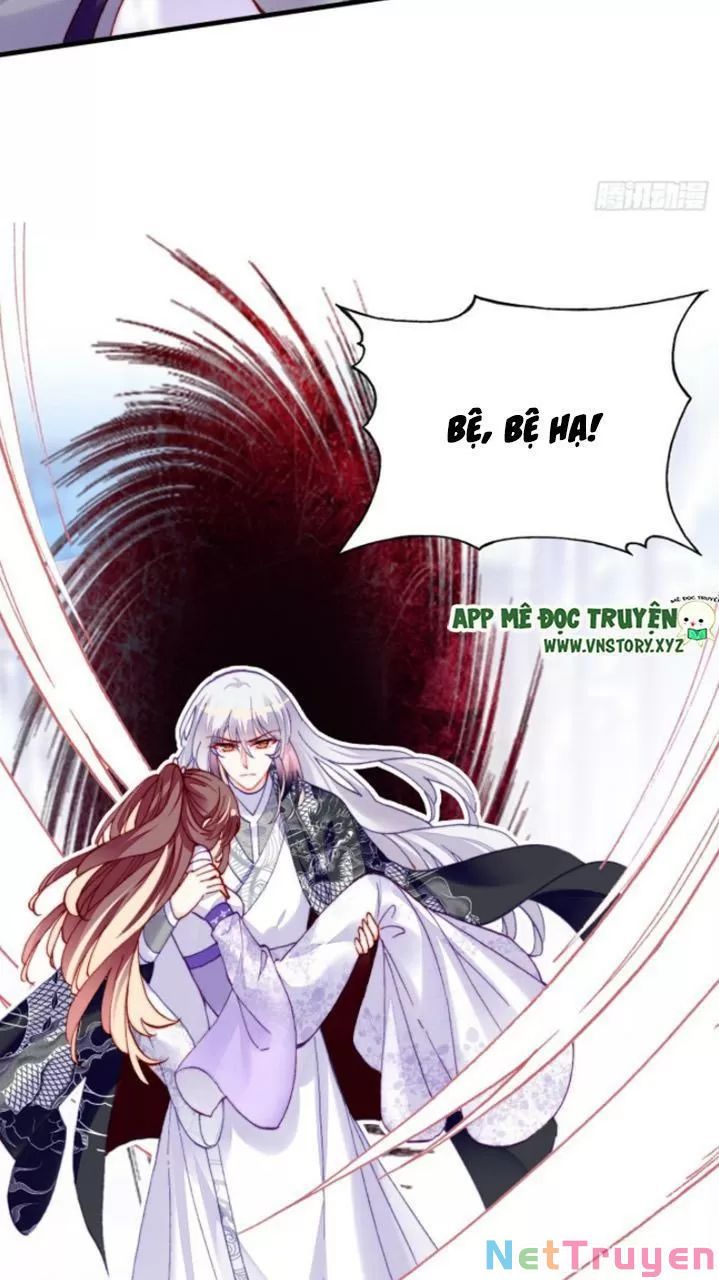 lại bị bệnh chiều chuộng quấn lấy chapter 25 55