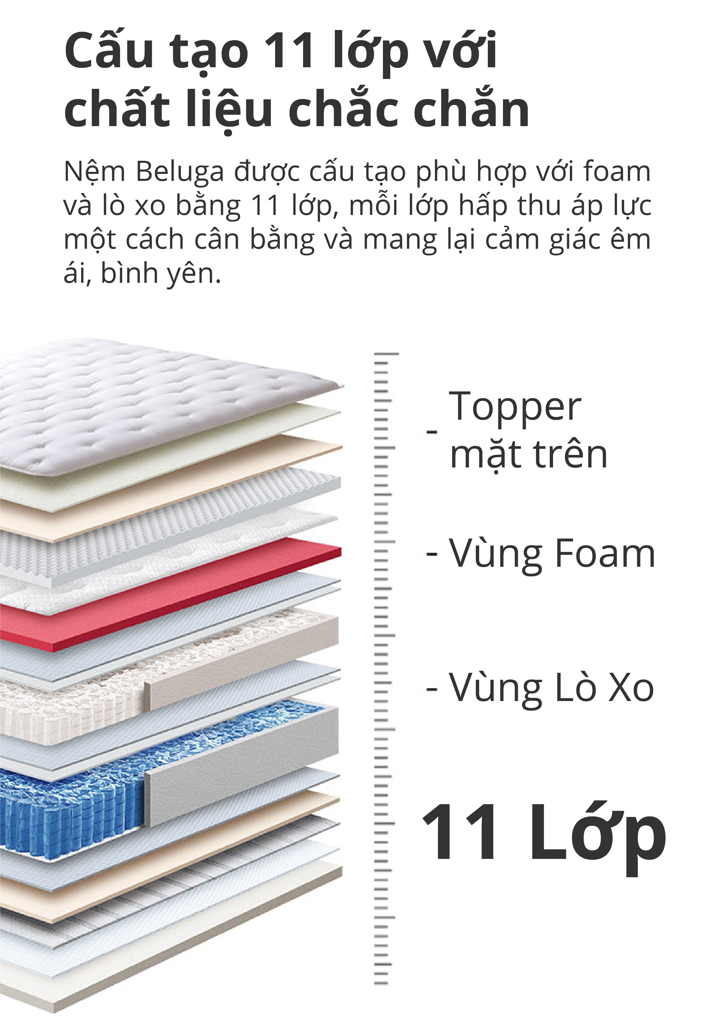 NỆM LÒ XO BEDIS BELUGA