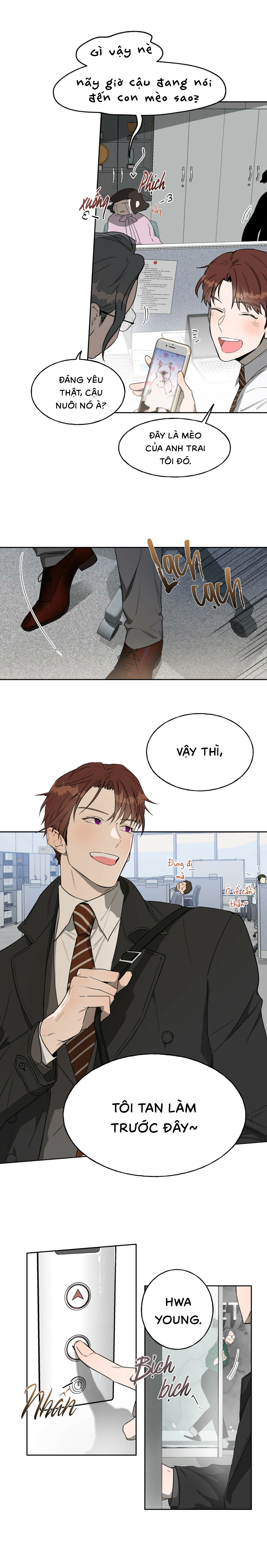 ang ang chapter 11 13