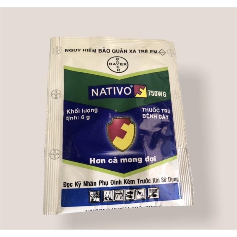 Sản phẩm trừ nấm bệnh Bayer Nativo 750wg 6gam