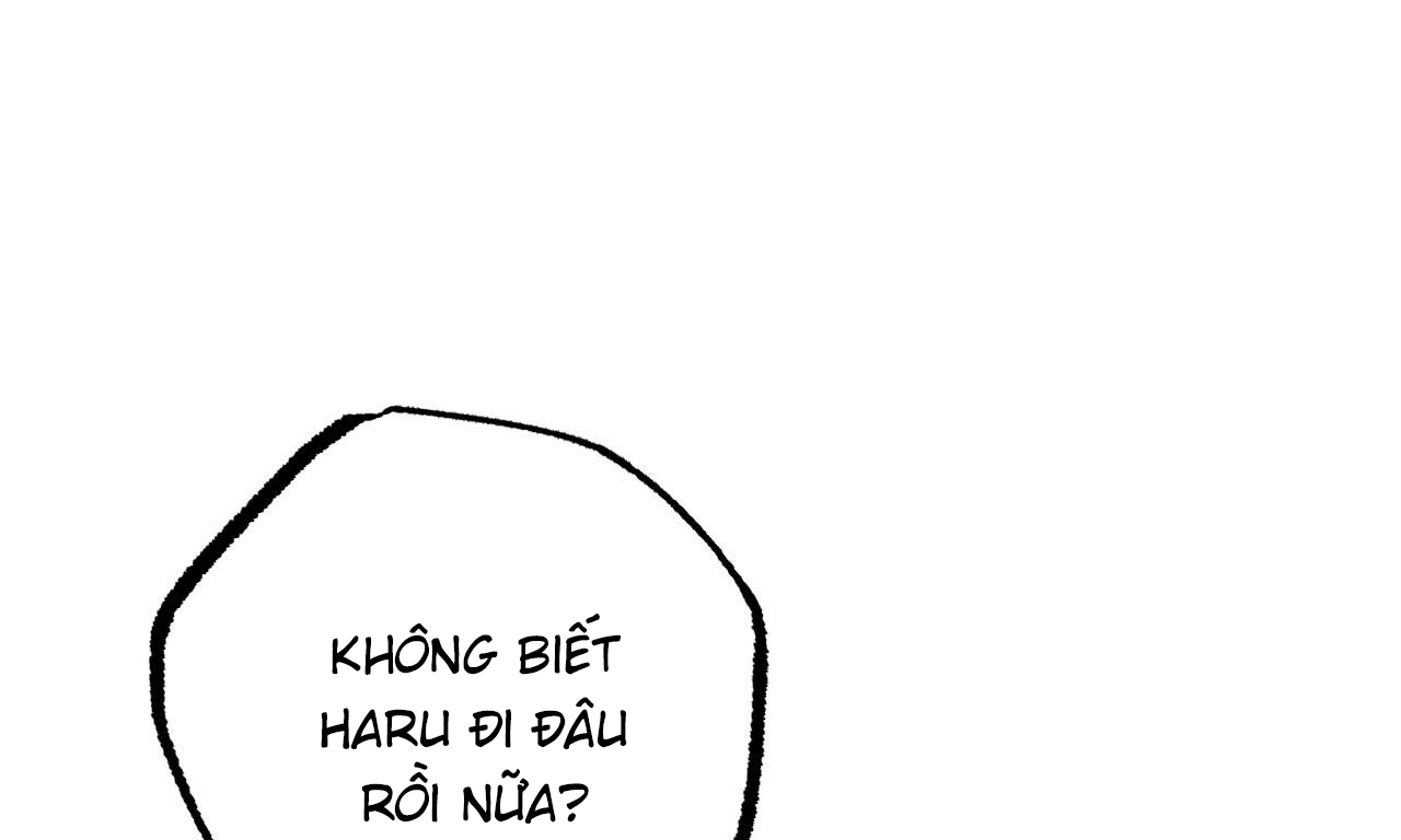 đàn thỏ của habibi chapter 50 89