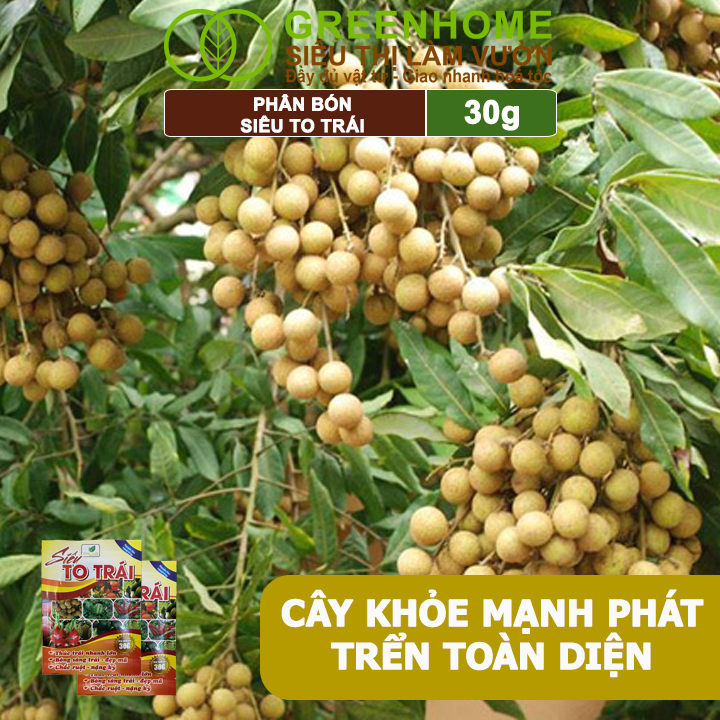 Phân Bón Siêu To Trái, GreenHome, Gói 30Gr, Thúc Trái Nhanh Lớn, Chắc Ruột, Nặng Ký, Đẹp Mã