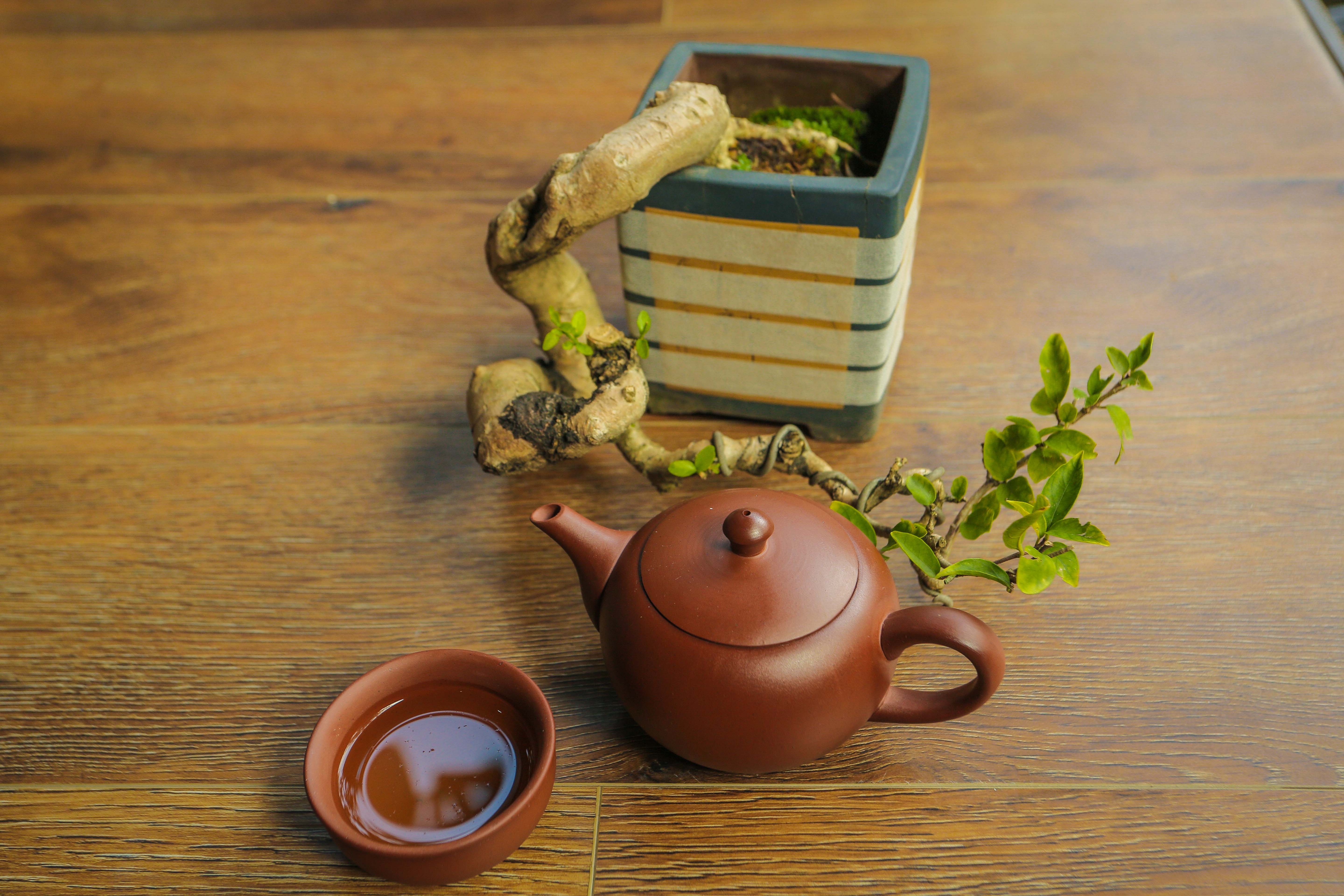 Bộ ấm gốm sứ - Bộ trà đất nung - Bộ ấm trà An Thổ Túc - Bộ ấm trà Trăng tròn