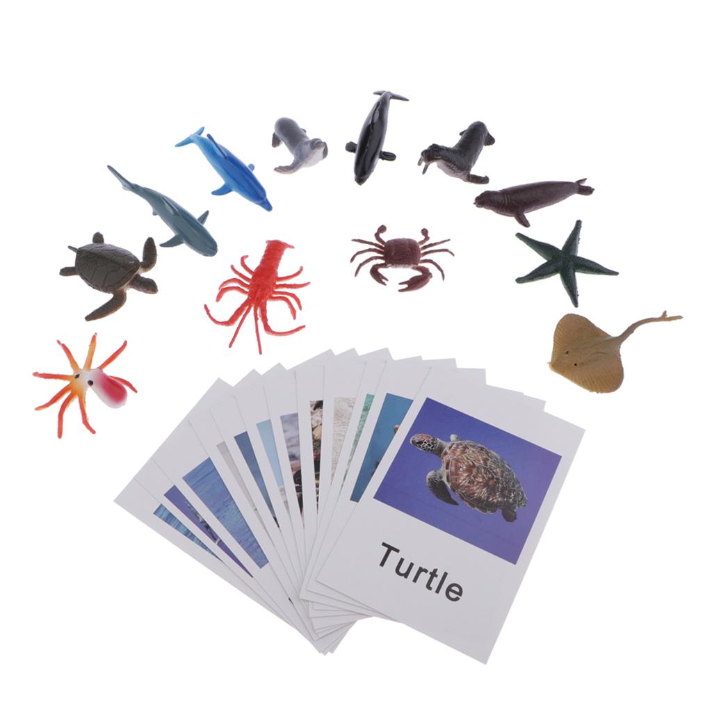 Education Toy Marine Organism Model Naming Cards for Montessori Education