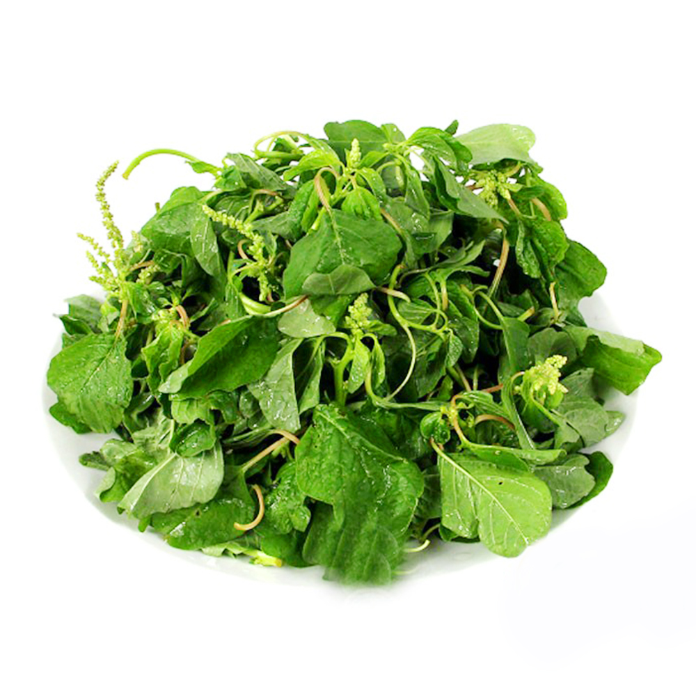 Hạt Giống Dền Cơm Đồng Chọn Lọc Tự Nhiên (20G)