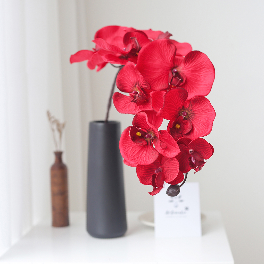 Hoa Giả - A1 Camelia, Bình Hoa Lan Hồ Điệp (1 lọ + 1 cành lan) + Tặng Kèm Sỏi Trắng, Hoa Lụa Decor Cao Cấp, Cành 95cm, 1Cành Gồm 10 Bông Lớn, Trang Trí Cực Đẹp