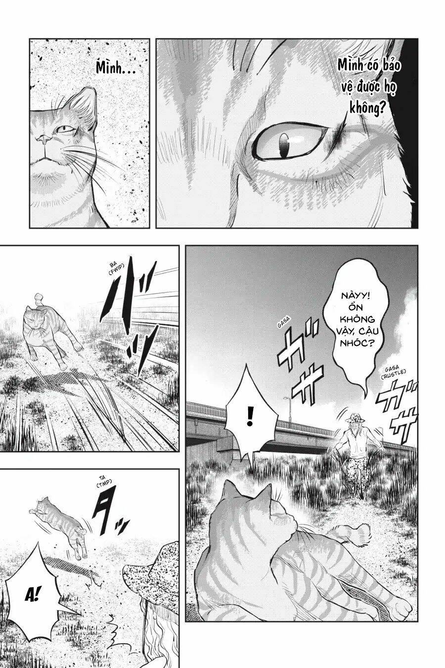 nyankees chapter 14 6