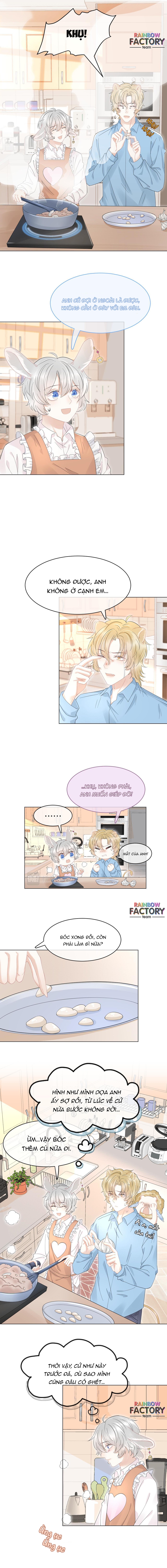 ăn một bé thỏ chapter 35 3