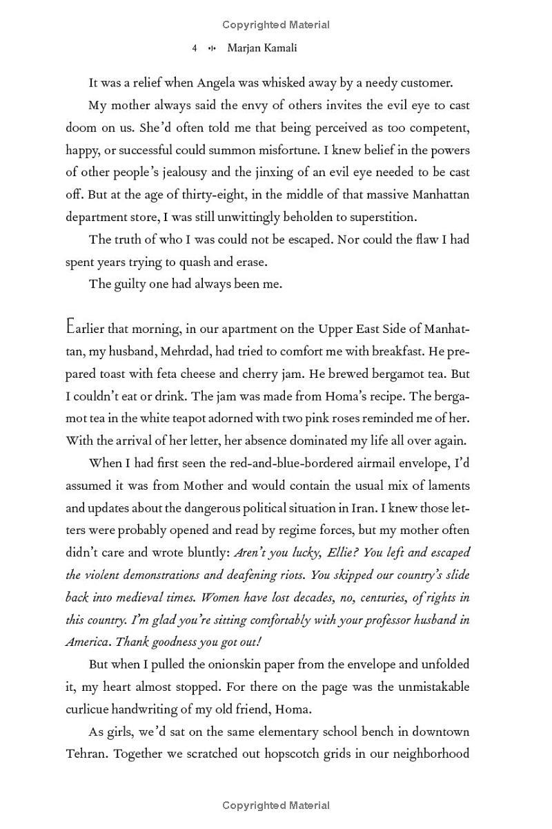 Sách ngoại văn: The Lion Women Of Tehran