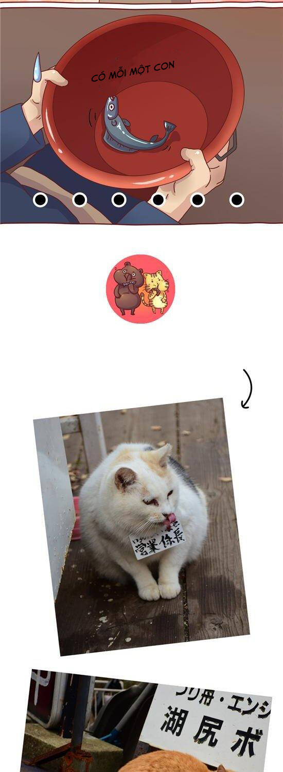 cây nấm kì khả chapter 30 8