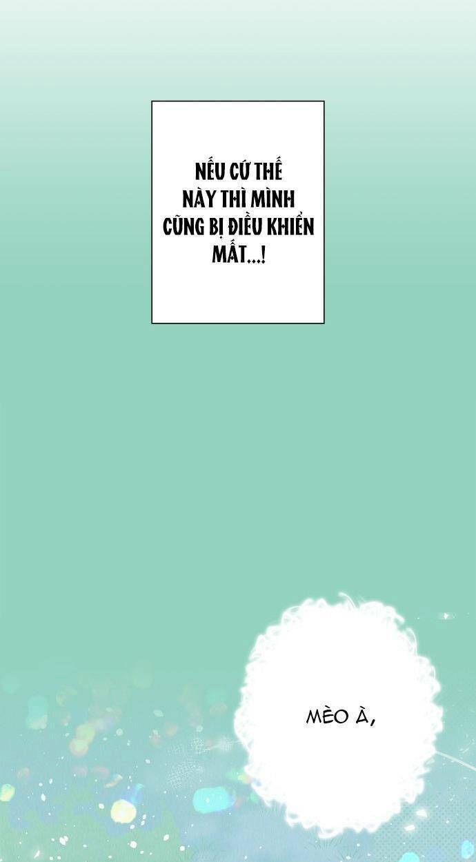 tôi đang nuôi dưỡng một con quái thú chapter 78 73
