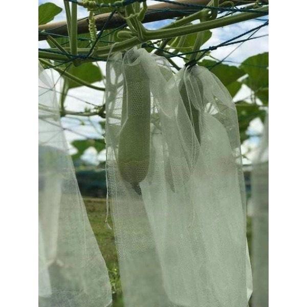 100 túi bọc Bầu, Bí, Mướp, KT 15x50, chất liệu bằng lưới mùng , có dây rút