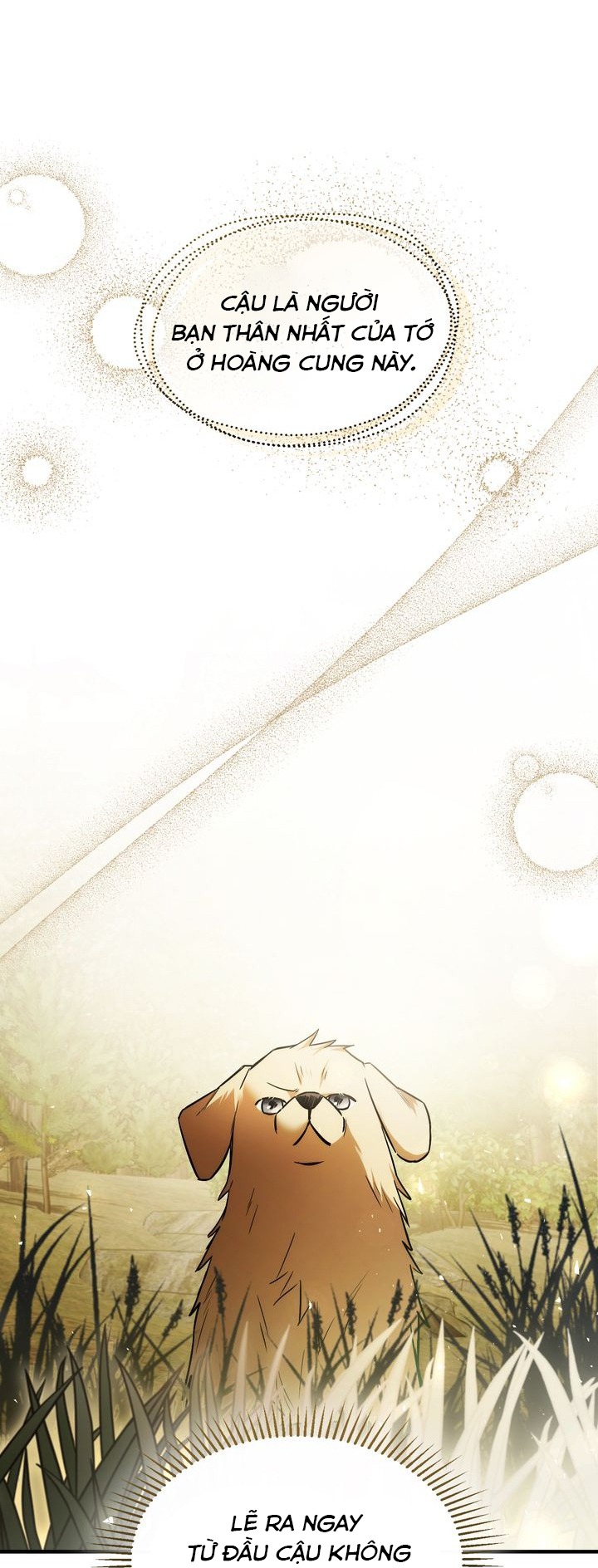 cái bóng trong đêm chapter 78 20