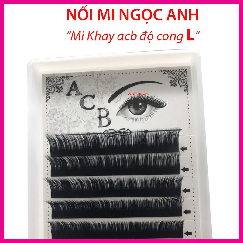 Mi khay ACB độ cong L