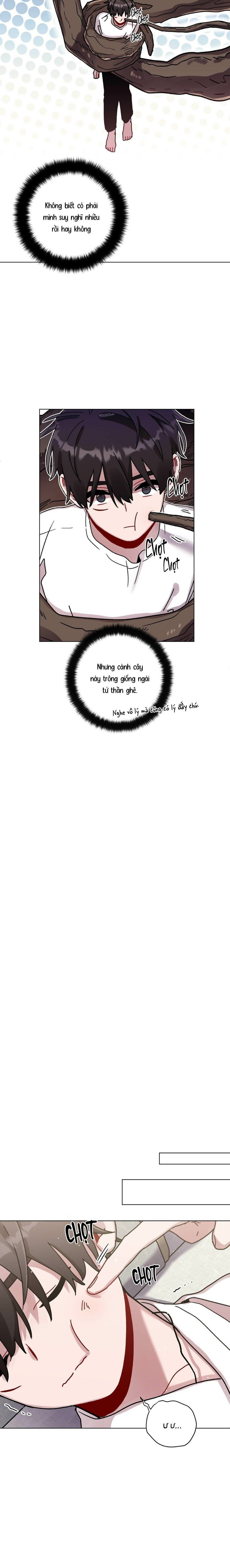 cơn mưa rào mùa hạ chapter 86 8