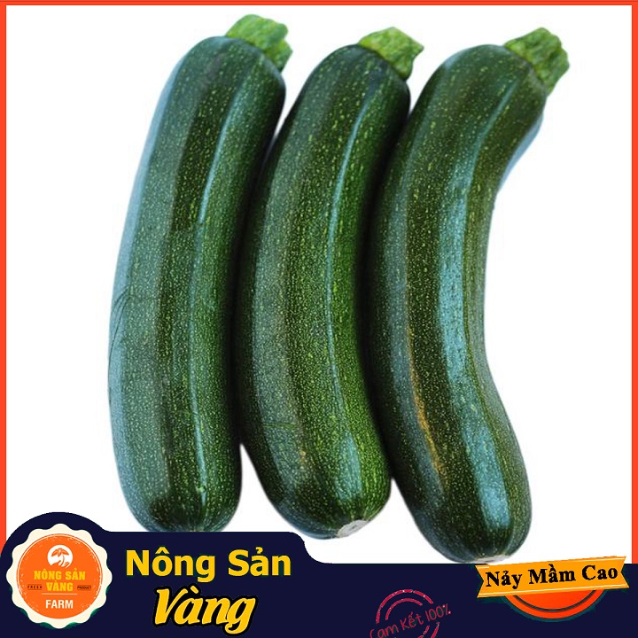 Hạt giống Bí Ngòi - Nông Sản Vàng