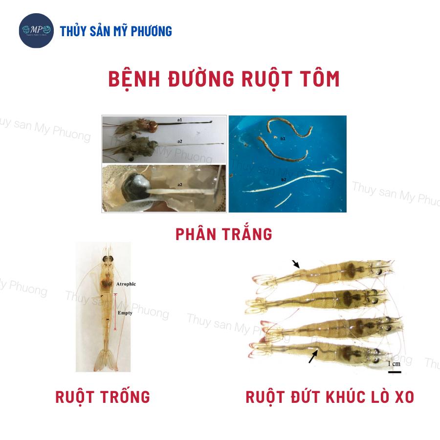 Men tiêu hóa enzyme nông to đường ruột Bio Lacto ngừa phân trắng kích thích ăn lớn nhanh tôm thẻ cá lươn ếch ốc baba