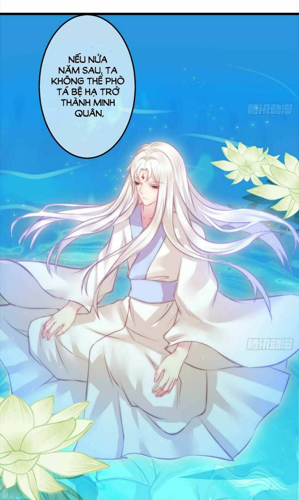 trẫm quyết định giải tán hậu cung chapter 6 50
