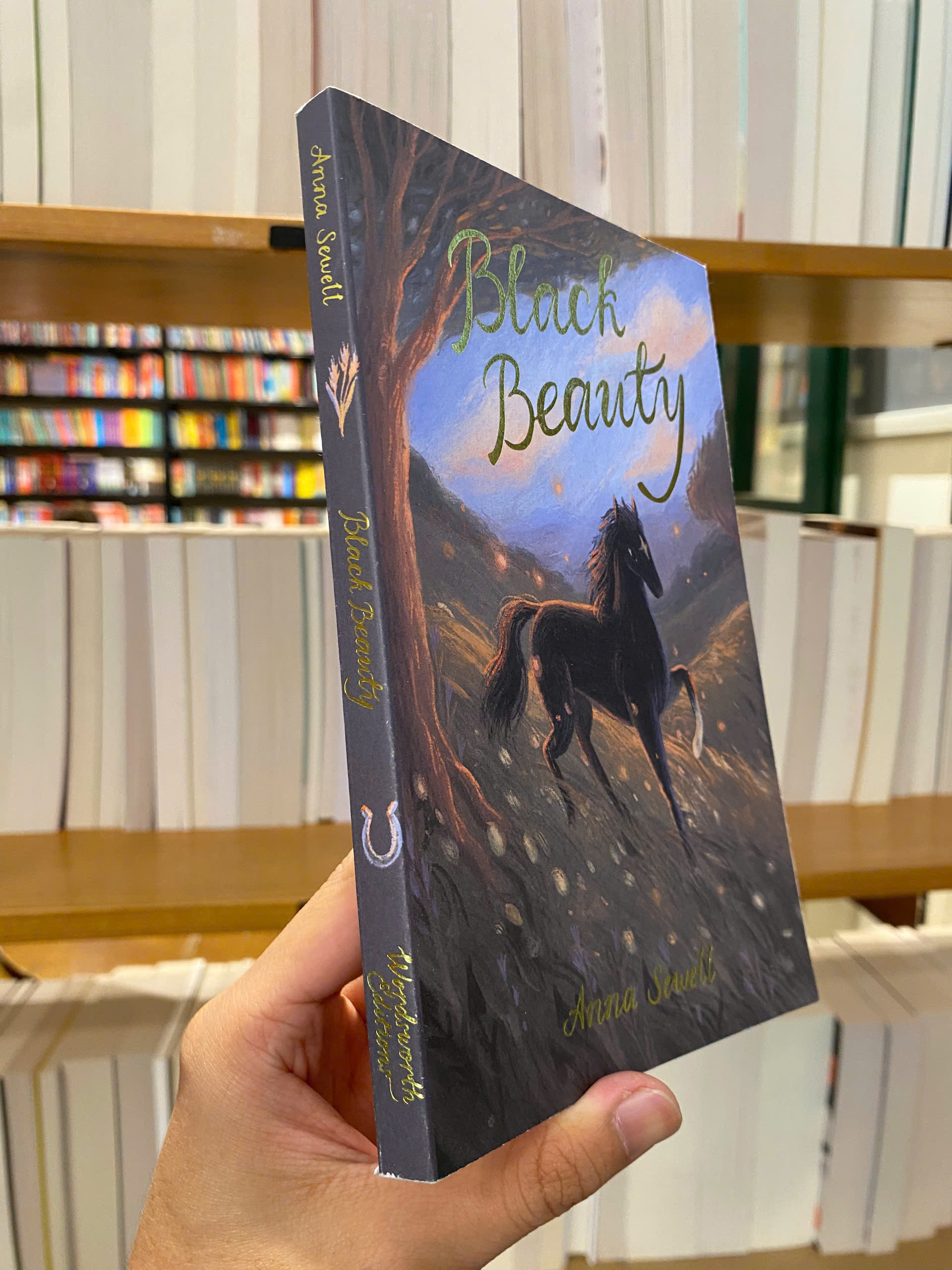 Sách - Black Beauty by Anna Sewell | Children Classic Novel / Ngoại văn Kinh điển Nhập khẩu