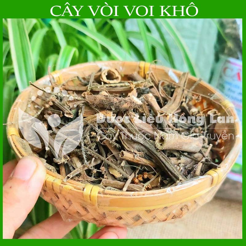 Cây vòi voi khô sạch đóng gói 500gram