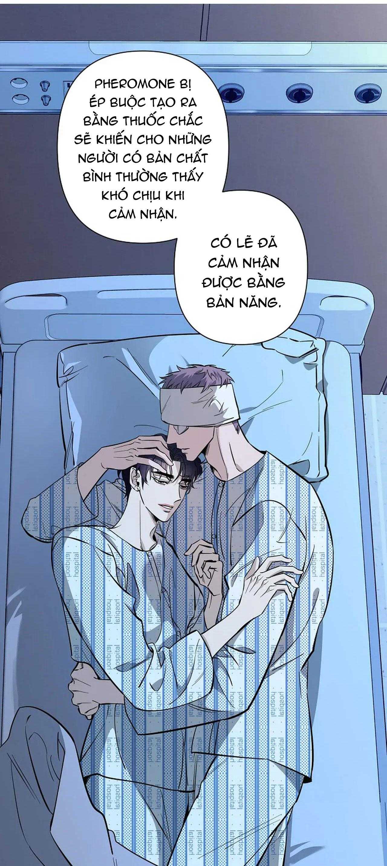 đêm dịu dàng chapter 71 6