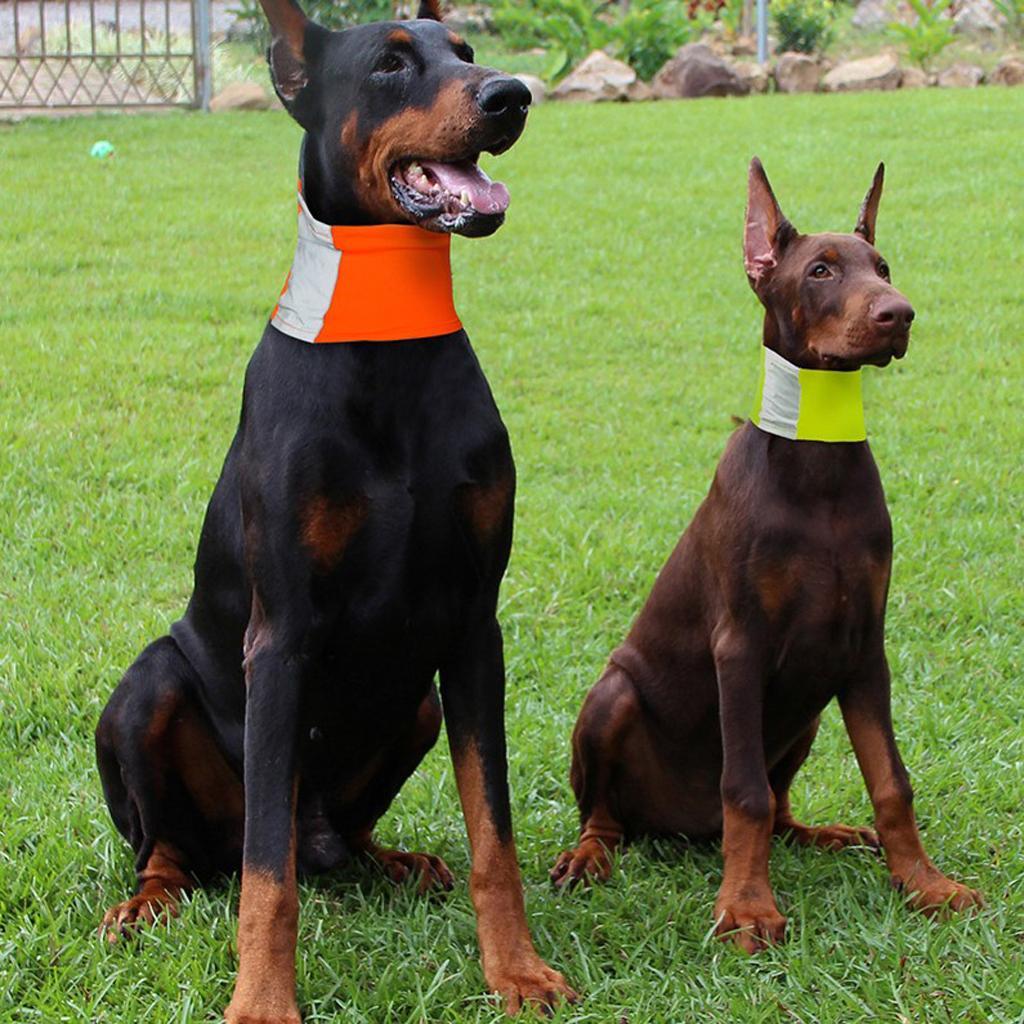 Pet Dog Cat Reflective Collar Puppy Pet Dog Safety Neck Strap