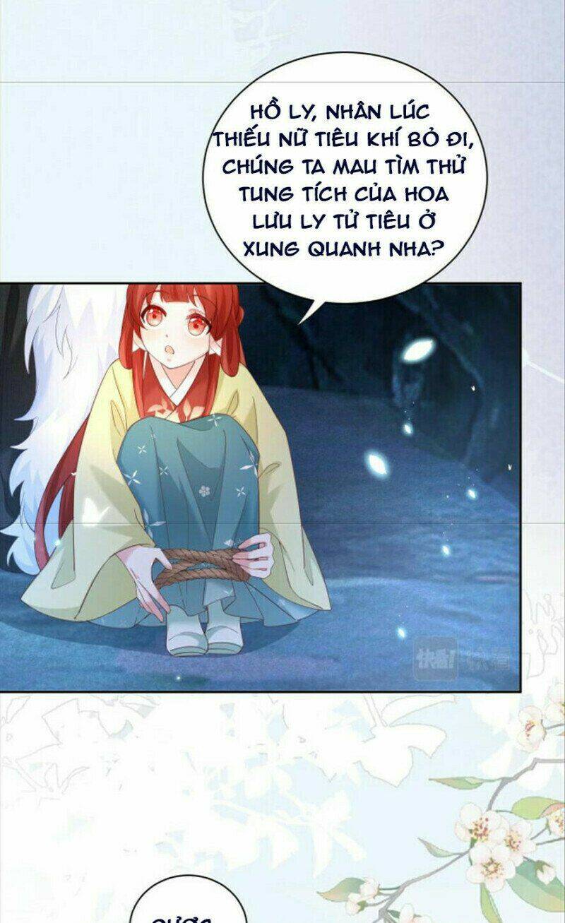 hắc hóa nam chính trực tuyến nuôi thỏ chapter 51 33