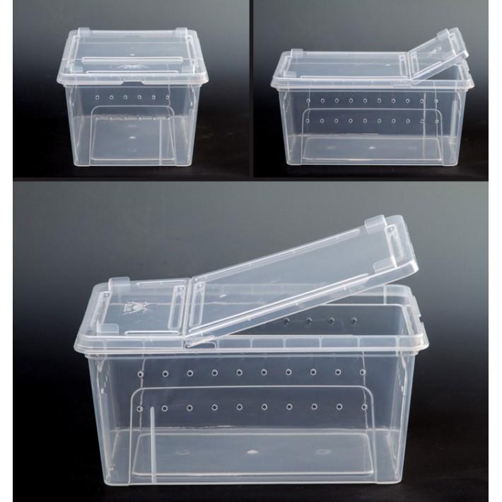 Hộp Nhựa Có Nắp - Lồng Nuôi Chuột Hamster, Rùa, Ếch, Thằn Lằn, Bò Sát