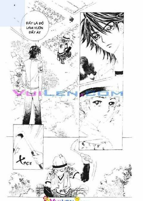 ánh nắng chói chang chapter 15 134